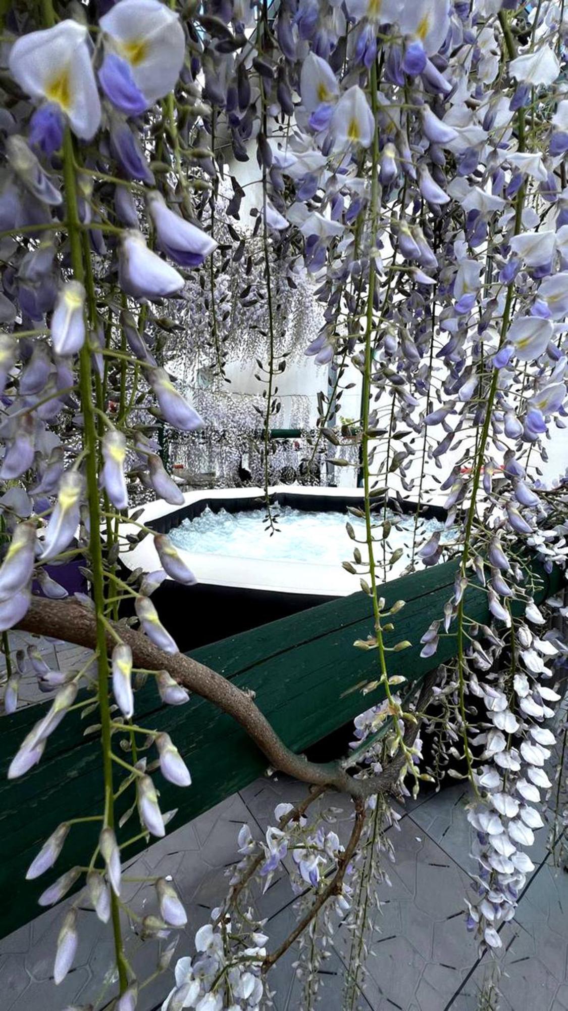 Gan Eden B&B San Benedetto Del Querceto Eksteriør bilde
