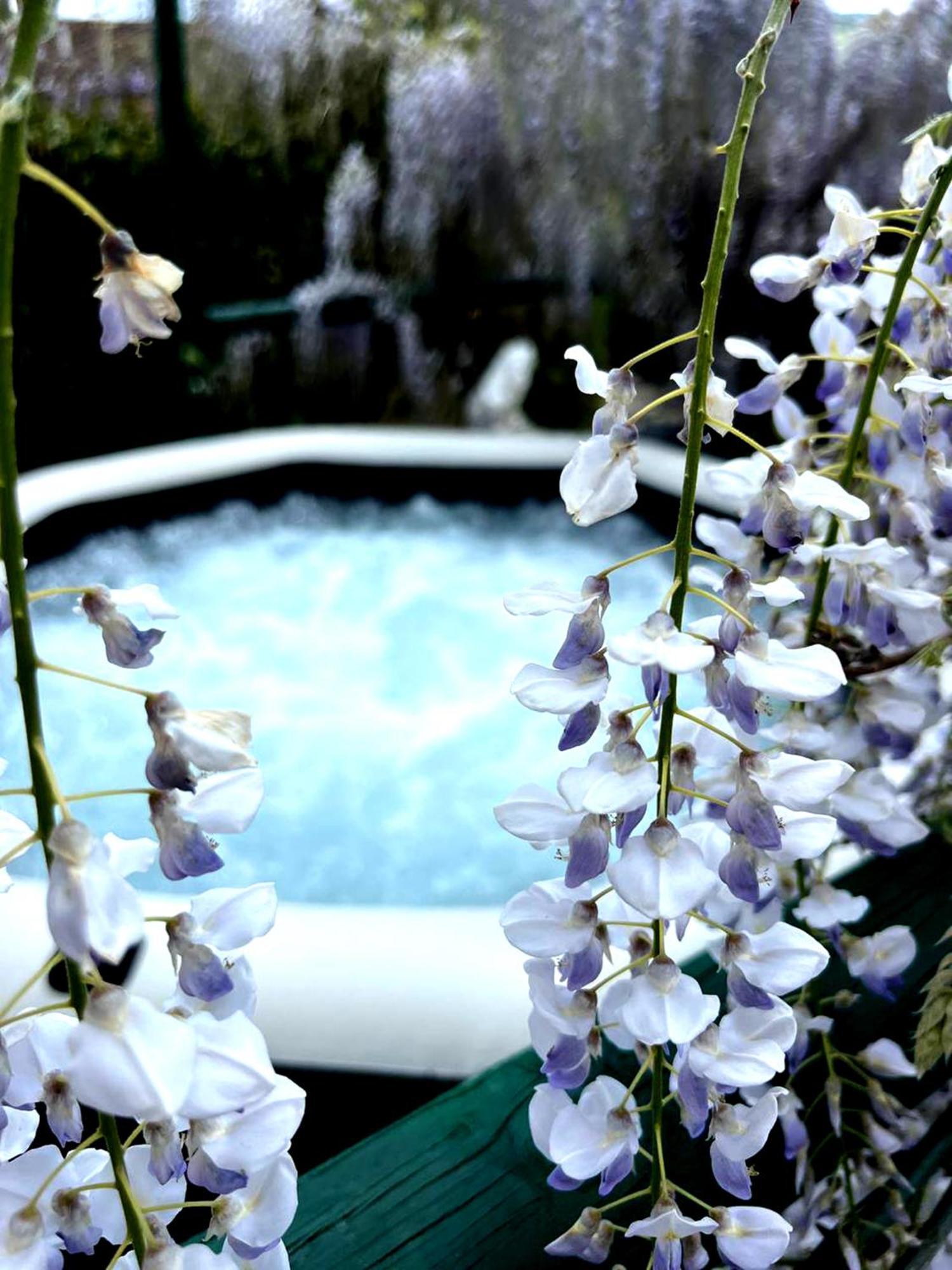 Gan Eden B&B San Benedetto Del Querceto Eksteriør bilde